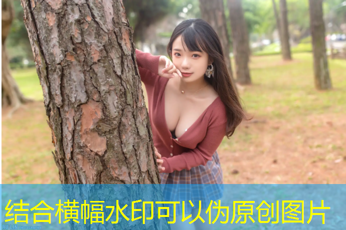 哑铃今后臂屈伸