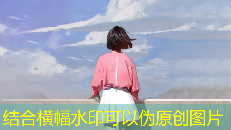 跆拳道护具穿戴流程图