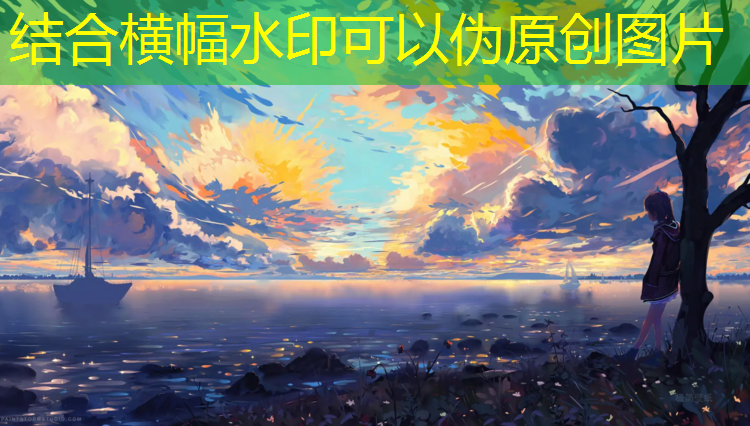 体操垫运动项目
