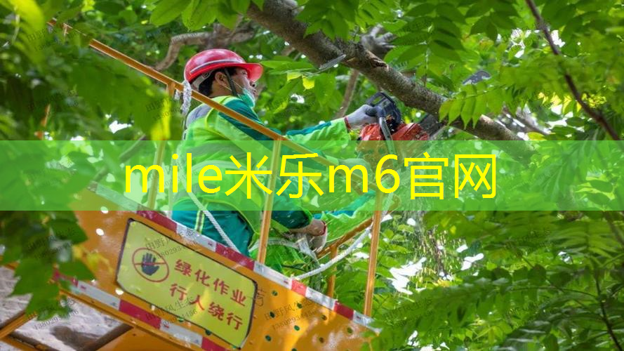 米乐：网球拍绳子断了还能用吗_