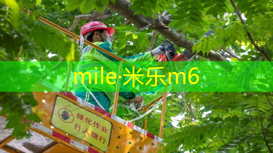 米乐m6官网登录入口：网球拍竿断了怎么办