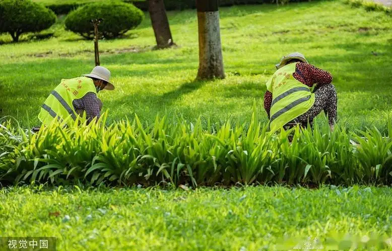 米乐m6官网登录入口：网球拍价格占比怎么算的
