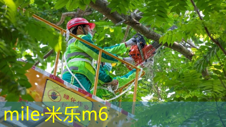 米乐m6官网登录入口：网球拍碳铝混合怎么样