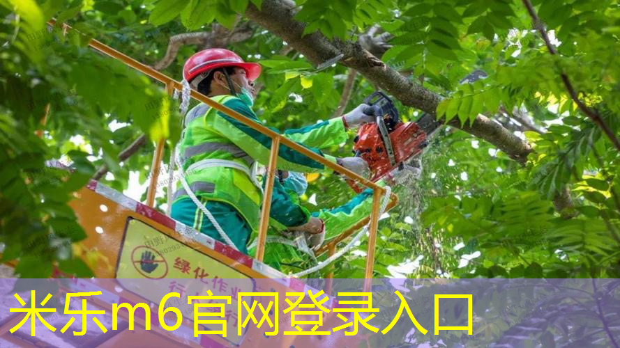 苏马泰克网球拍怎么样