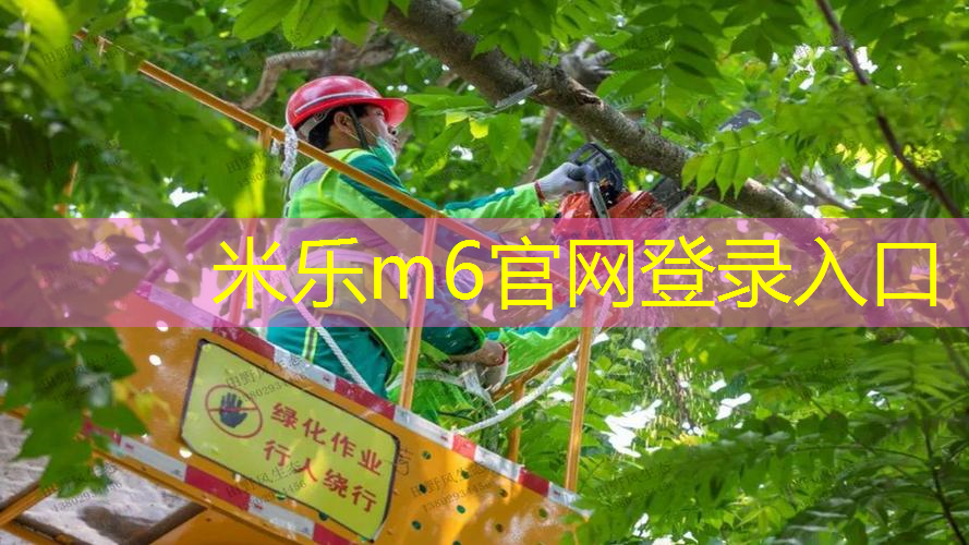 米乐m6官网：网球拍手柄什么材质的好