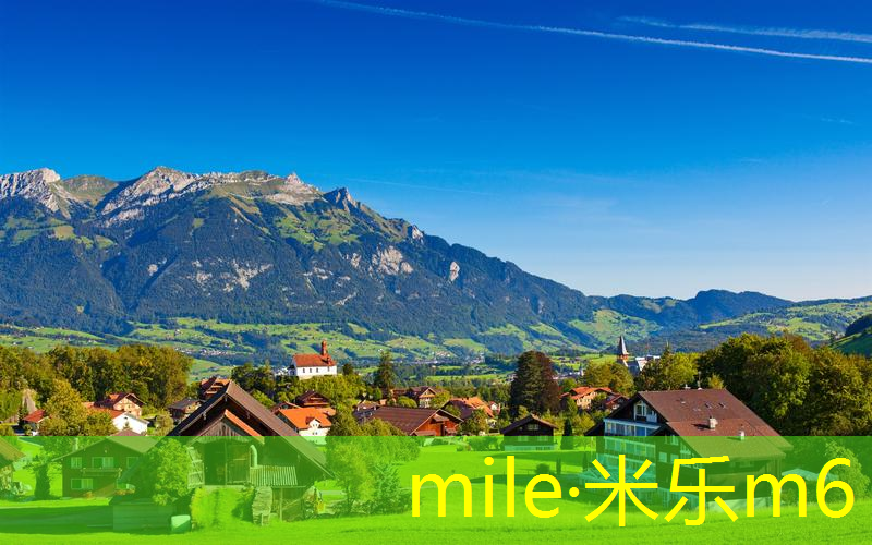 mile米乐m6官网：邓禄普600网球拍