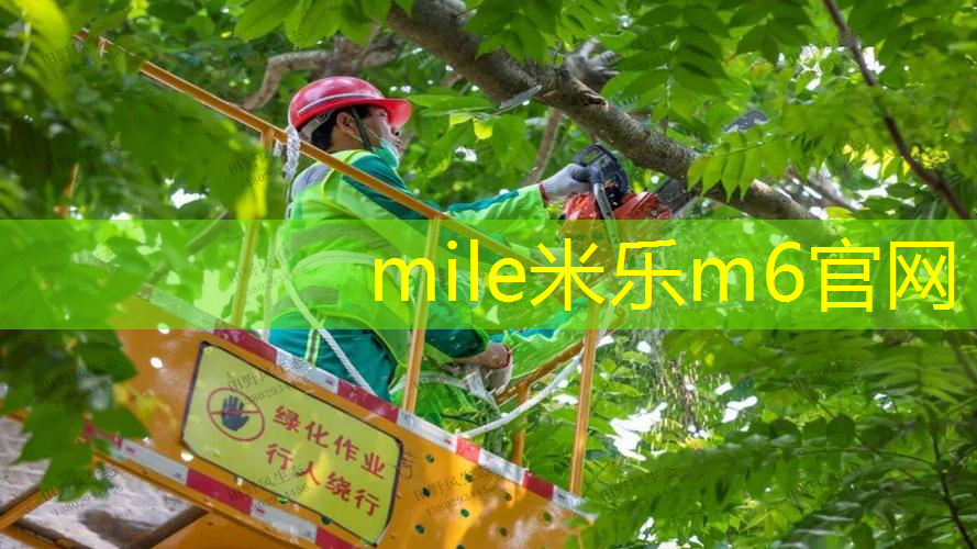 米乐m6官网：适合控制网球拍的拍子有哪些