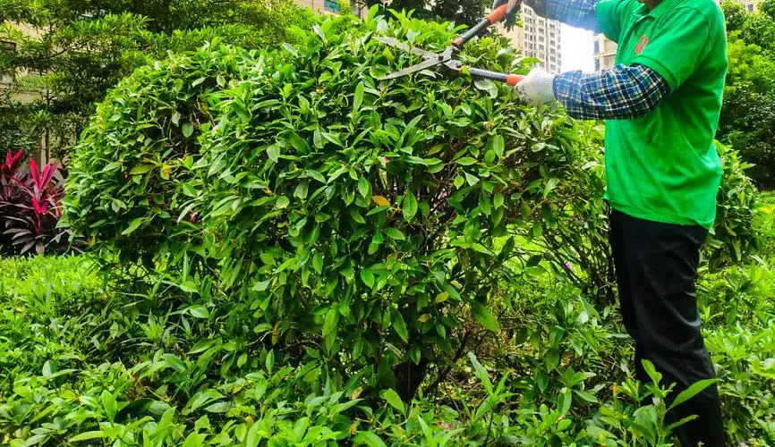 米乐m6官网：新款儿童网球拍怎么选择