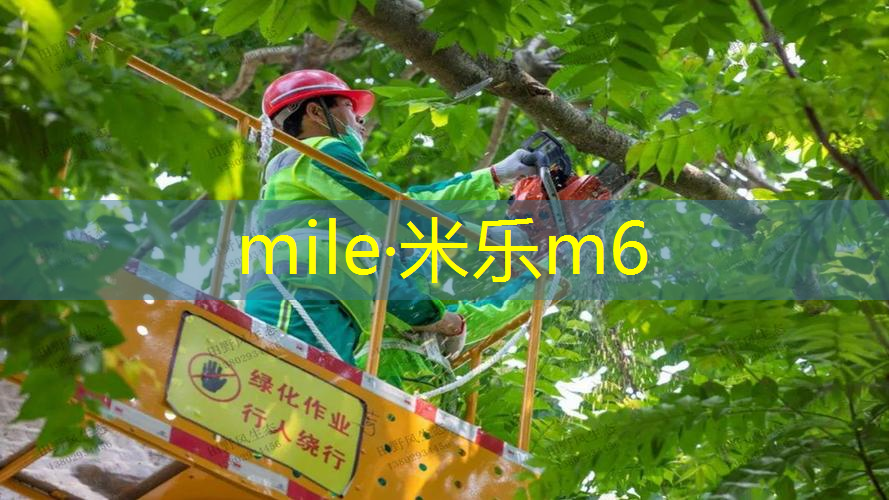 mile·米乐m6：专业网球拍为什么套袋子