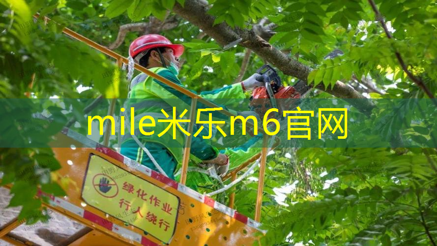 mile·米乐m6：网球拍减震节效果怎么样