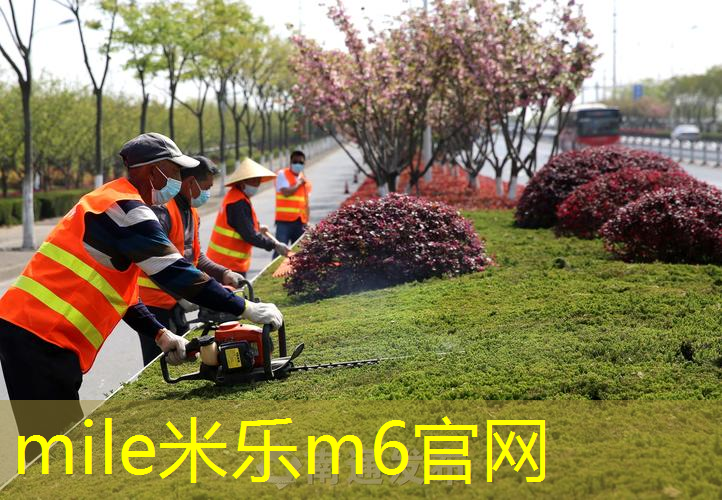 米乐m6官网：网球拍儿童25寸威尔逊