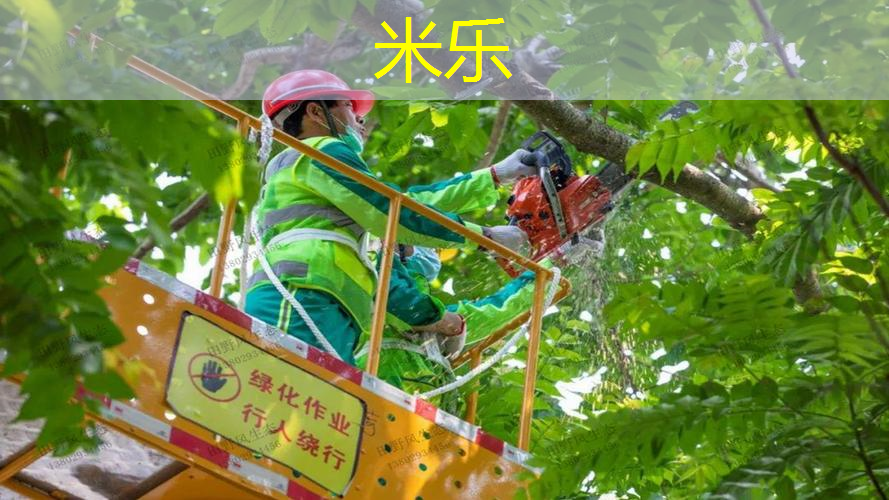mile·米乐m6：网球拍怎么拆减震器螺丝