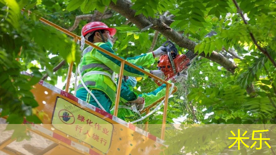 mile·米乐m6：网球拍底托掉了怎么粘上
