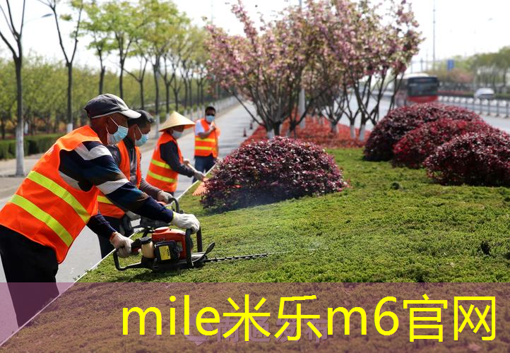 贝雷蒂尼丢网球拍