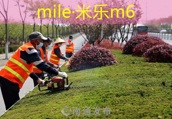 网球拍击球感清脆拍