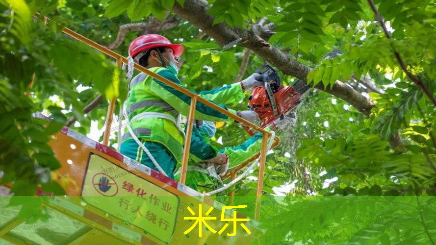 米乐：乒乓球台内正反晃打
