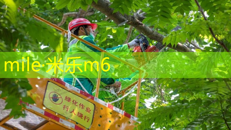mile·米乐m6：儿童篮球训练热身器材