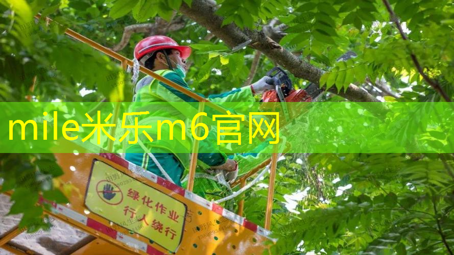 米乐m6官网：上海室内健身器材怎么样
