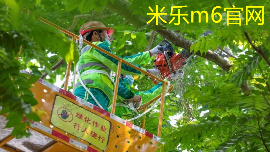网球拍绳子断了还能用吗_