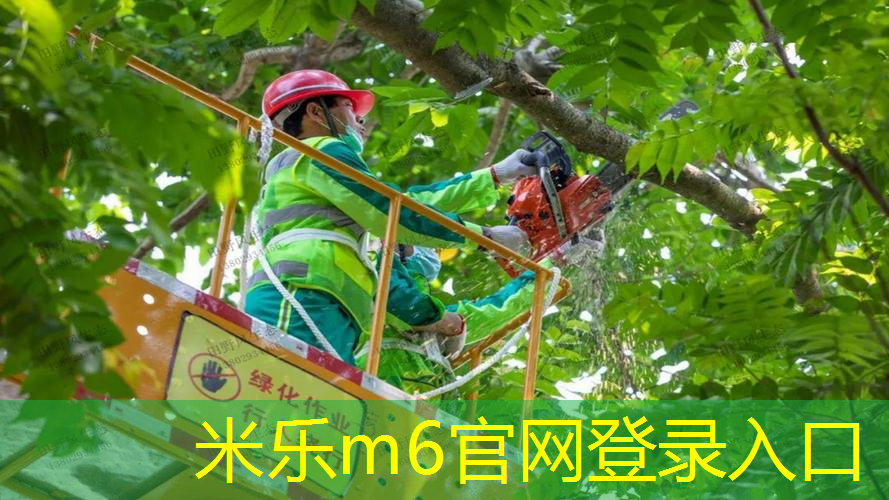 网球拍碳铝混合怎么样