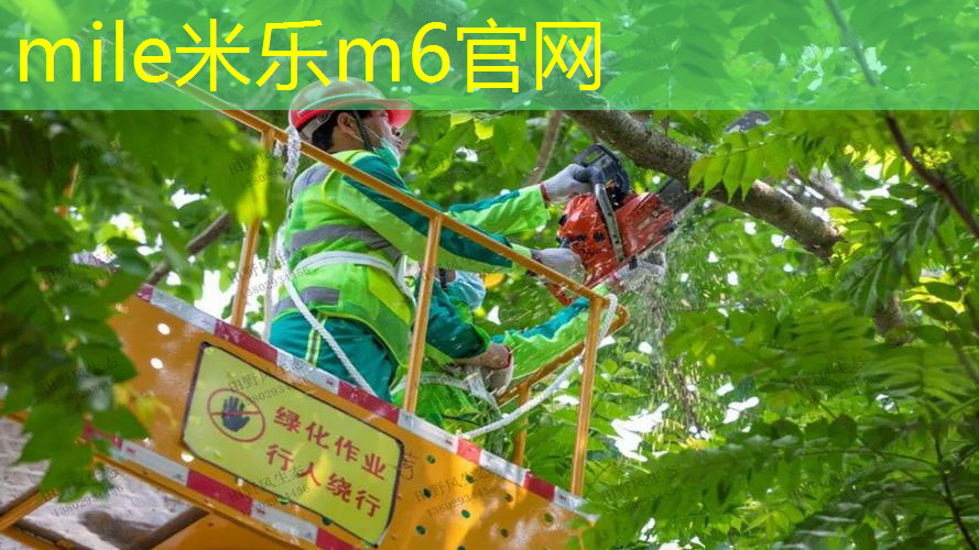 网球拍线穿好后断拍框