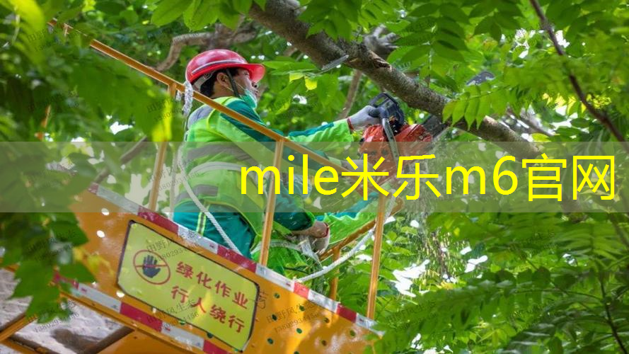 苏马泰克网球拍怎么样