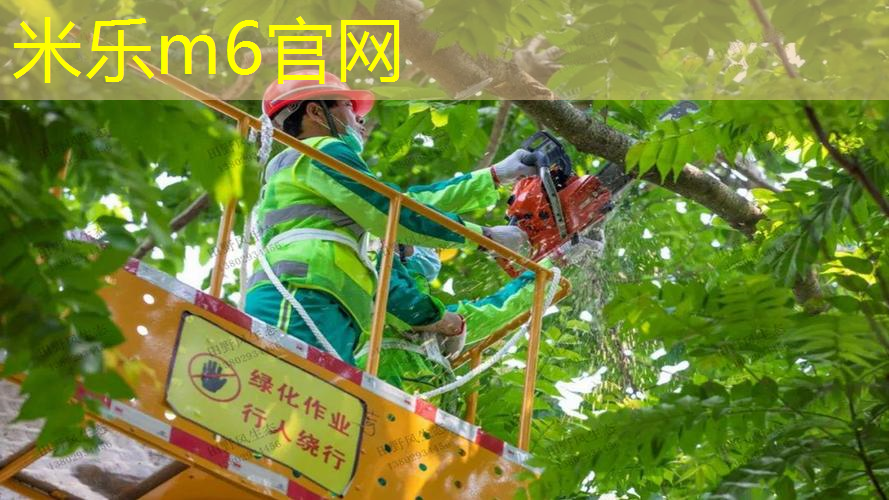 网球拍手柄什么材质的好