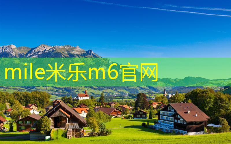 邓禄普600网球拍