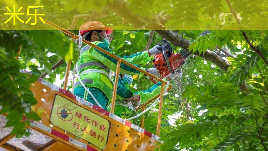 适合控制网球拍的拍子有哪些