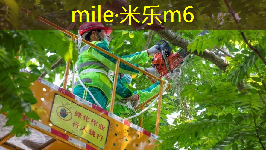 网球拍减震节效果怎么样