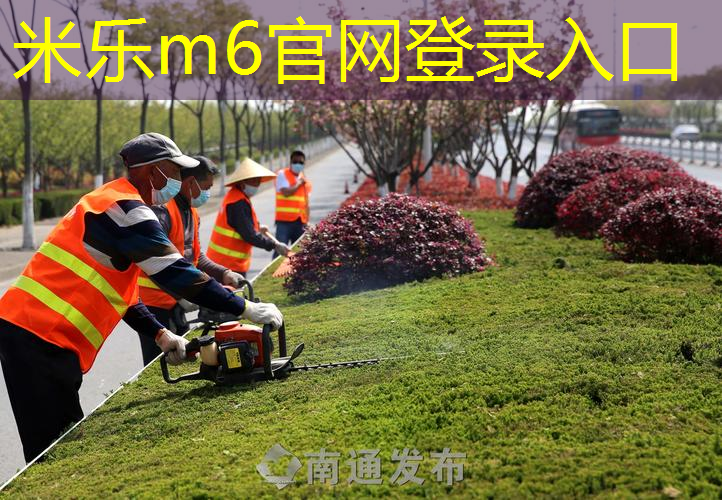 什么网球拍子球速快好用