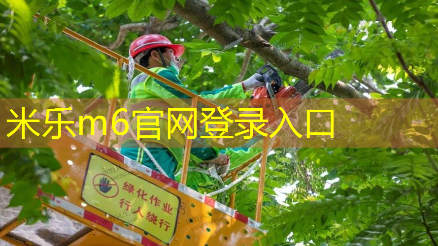 网球拍怎么拆减震器螺丝
