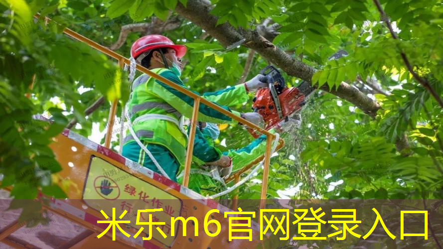 乒乓球台内正反晃打