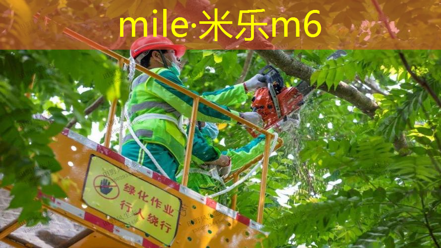 上海室内健身器材怎么样