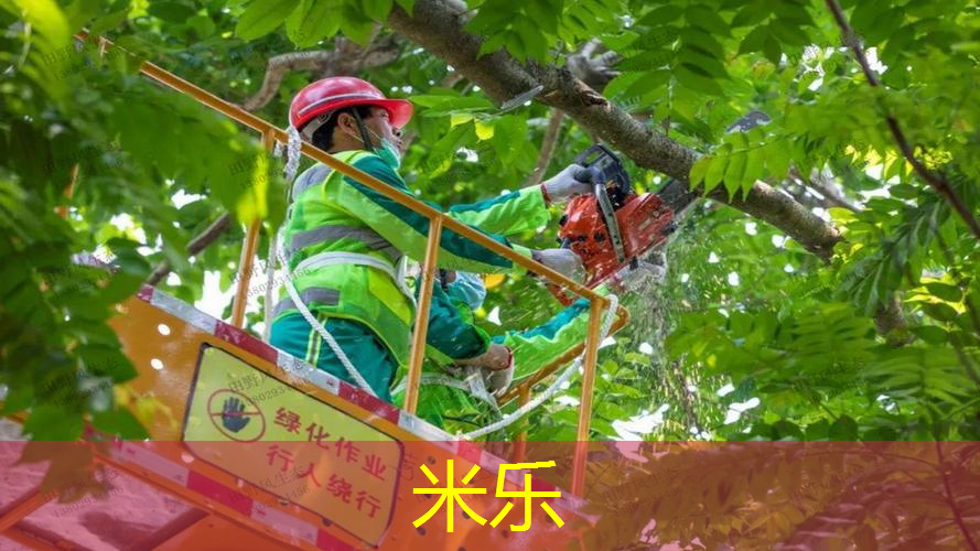 草坪爱好者必备技巧：掌握自动修剪的诀窍