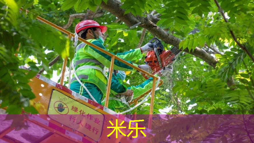 室内健身跳绳